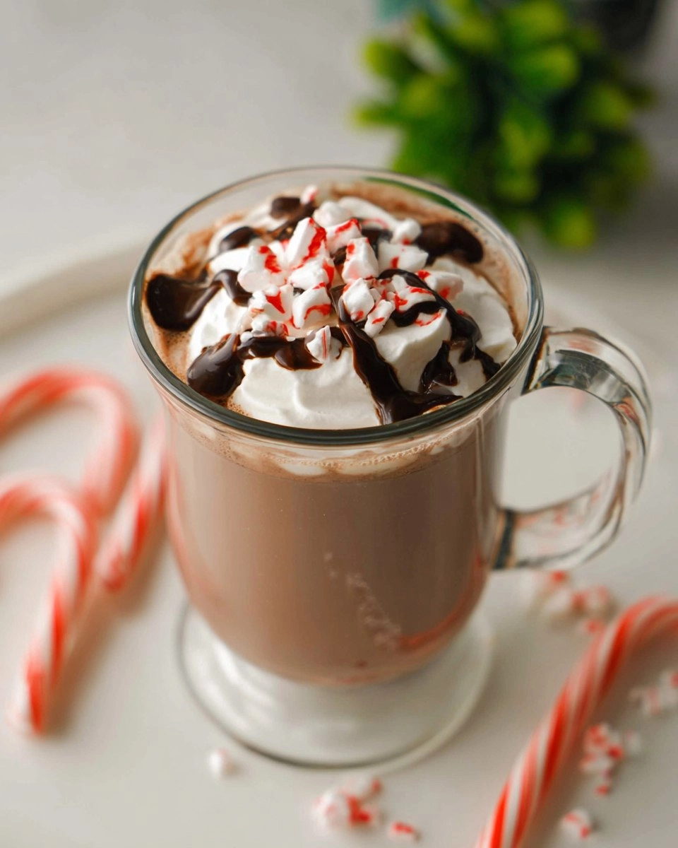 Crockpot Peppermint Hot Chocolate