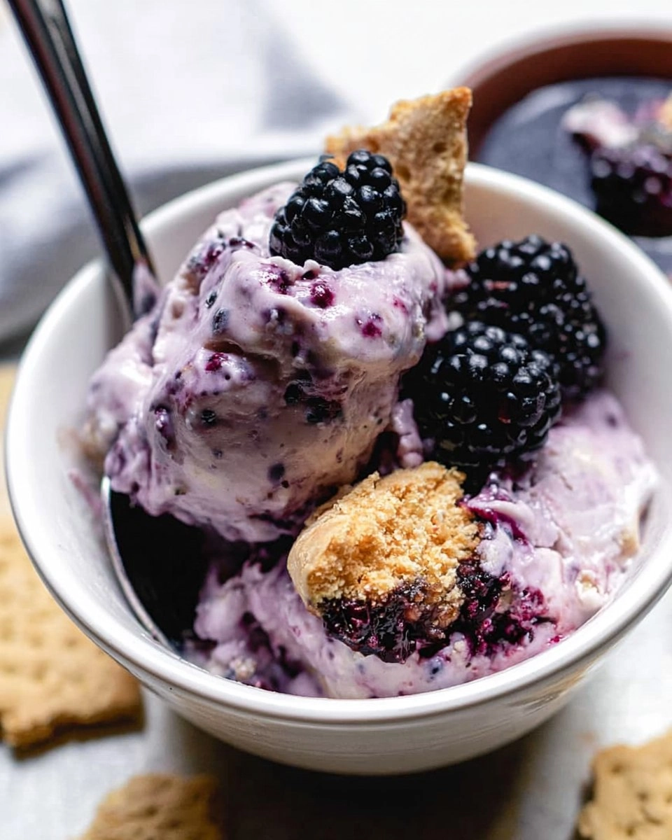 Blackberry-Cheesecake-Cottage-Cheese-Ice-Cream-Recipe