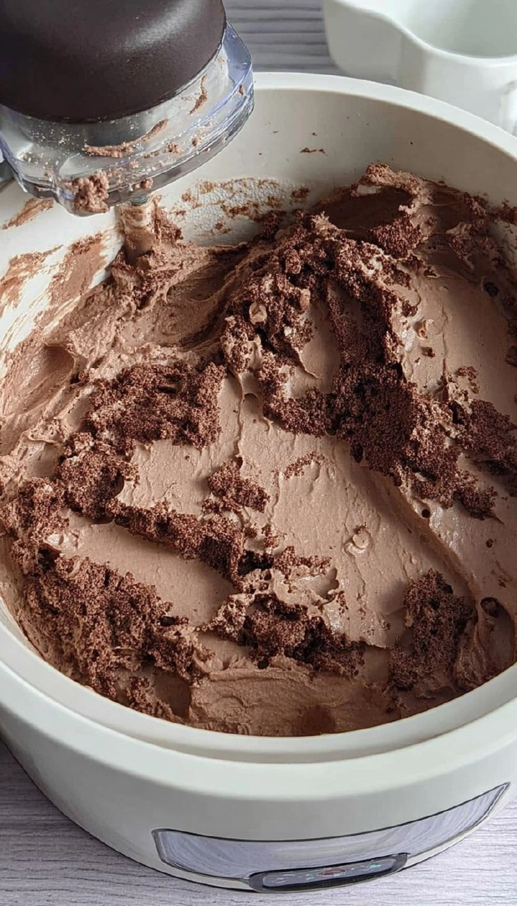 Chocolate Cake Chocolate Ice Cream 65 Chocolate Cake Chocolate Ice Cream