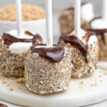 Smores Marshmallow Pops 81 Smores-Marshmallow-Pops-Recipe